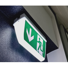 Emergency Exit Box LED Bulkhead IP65