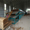 Shine Biomass Veneer Dryer for Sale