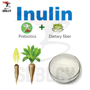 Best chicory extract inulin supplement for gut health