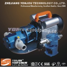 Wcb Portable Gear Oil Pump