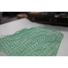 Hot Sale Plastic Mesh 3D Vegetative Cover Net