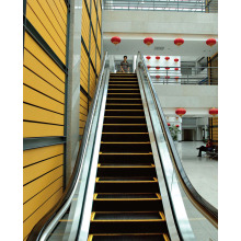 Escalera De Pasajeros Comercial Vvvf