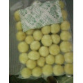 One Clove Garlic Yunnan Production