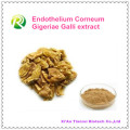 High Quality 100% Natural Endothelium Corneum Gigeriae Galli Extract