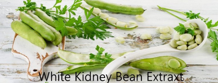 Kidney Bean extract 5