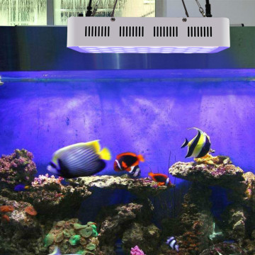 Aquarium de réservoir de poissons 165W en gros a mené la lumière