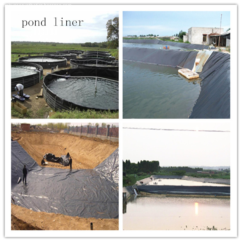 HDPE GEOMEMBRANE FOR ANIMAL WASTE