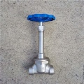 DN25-DN300 Low temperature gate valve