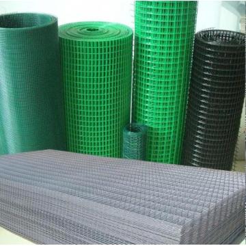 Galvanized Welded Wire Mesh in roll