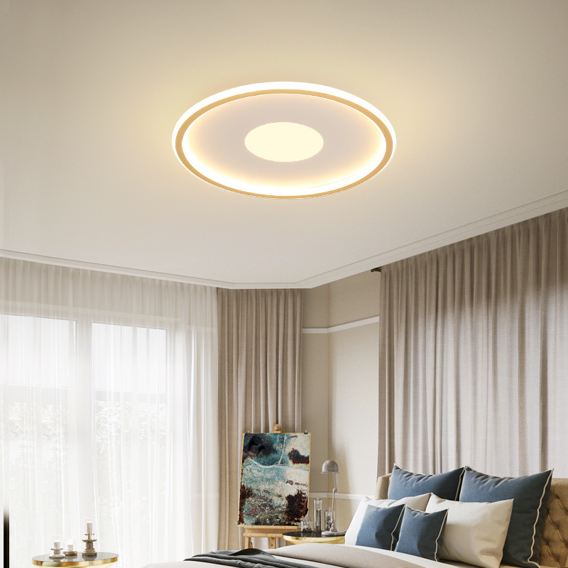 Application Pendant Fixture