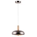 Lustre Moderne Home Decoration Living Room Pendant Lamp