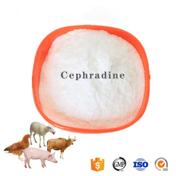 Ingredientes ativos CAS 38821-53-3 suprimento de pó de cefradina