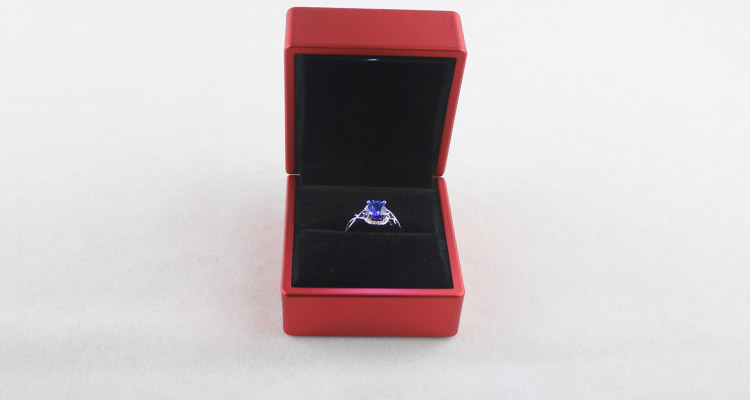 Plastic Led Red Ring Box 