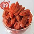 Ningxia Dried Goji Berry Conventional Goji