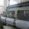 Factory Direct Farming Hexagonal Wire Mesh Zaun