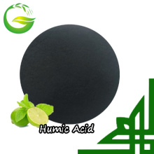 Organic 70% Humic Acid Fertilizer for Agriculture