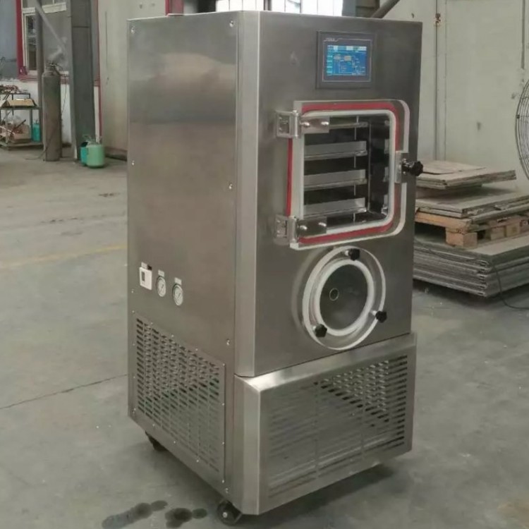 LGJ-20F fruits freeze dryer machine