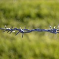 Hot-Dip Galvanized Barbed Wire