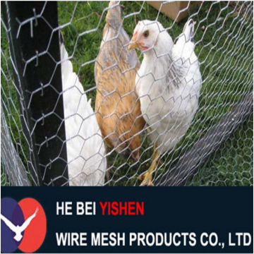 Galvanized Diamond Wire Mesh Fence Rolls