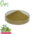 Natural Plant extract leaf olive extract oleuropein 40%