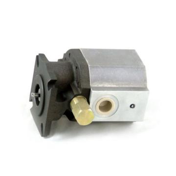 Wood Splitter Gear Pump