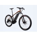 Angepasstes Off Road Electric Bike