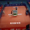 Alfombrilla de tenis de mesa Enlio 5.5mm con ITTF