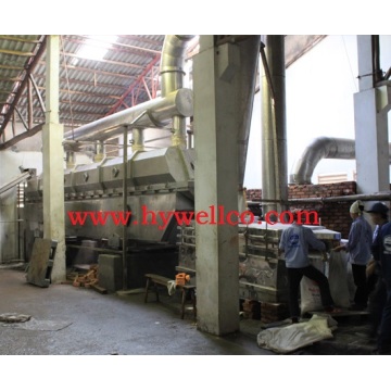 Continuous Seed Drying Machine