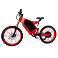 Benutzerdefinierte Lithium-Batterie-Power-elektrisches Off-Road-Fahrrad