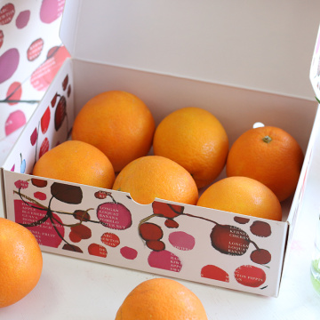 4 Color offset Printed Fruit Packaging Box