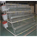 Stainless steel nipple drinker  broiler chicks rearing cage