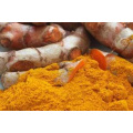 Prix ​​d&#39;usine Fournir un extrait naturel de Curcuma Longa