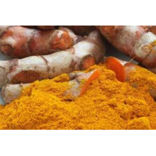 O preço da fábrica provê extracto natural Curcuma Longa