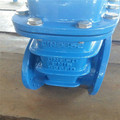 Dn40-Dn2000 Resilient Seated Gate Valves