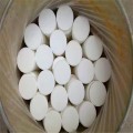 Swimming Pool 70% Chlorine Tablet Calcium Hypochlorite