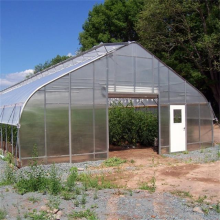 Single Span Plastic House Tunnel Gewächshaus