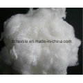 Großhandel China Non-Silikonized Recycled Hollow Conjugated Polyeste Staple Faser / Polyfill Faser