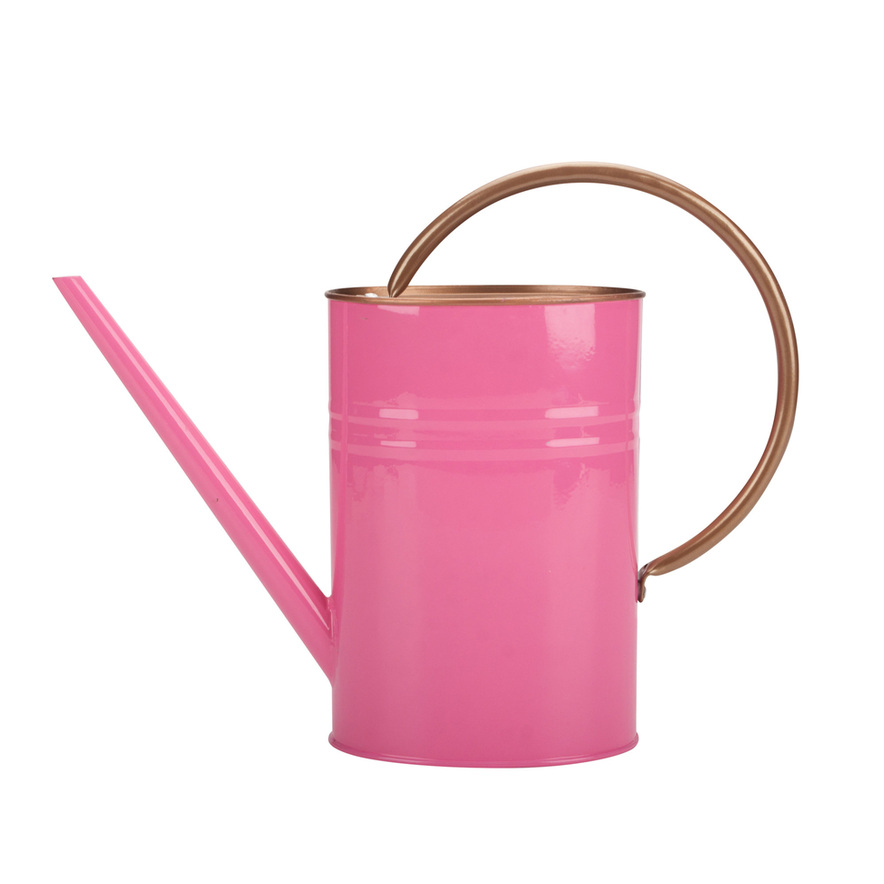 Watering Can Flower Pot