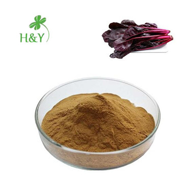 Factory Supply Best quality red spinach extract powder