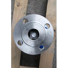Stainless steel vertical check valve