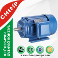 IEC Standard Y2 Series Three Phase Induction Motor