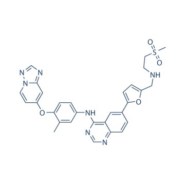 HER2-Inhibiteur-1 937265-83-3