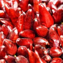 Ventes directes authentiques Guizhou Bulte Dry Red Pepper