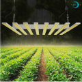 Growing LED Lamp Lights 600 W