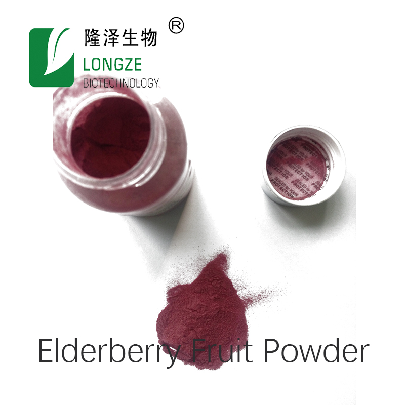 Black Elderberry Extract Powder