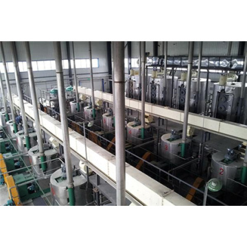 600t/d Oilseed Pressing Production Line