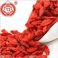 The Dried Red Goji Berries Fruit