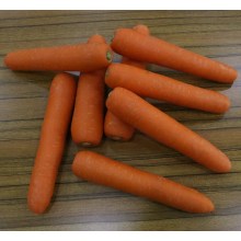 Морковь свежая 2016 нового сезона