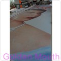 Large Size Printed Outdoor Banners