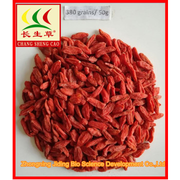 Certified Organic Bulk Wholesale Dried Red Goji Berries